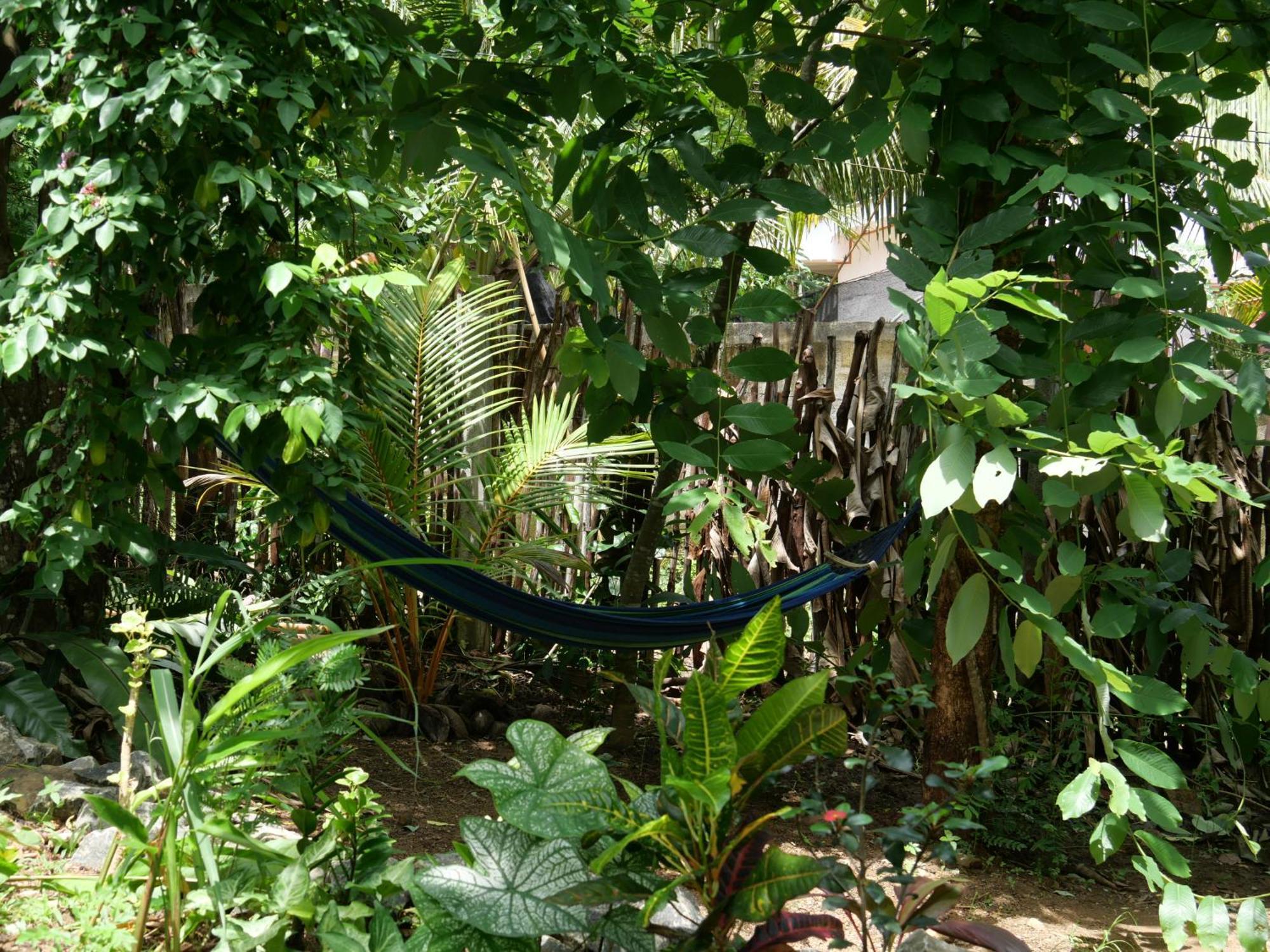 Hotel Watu House Dikwella Exteriér fotografie